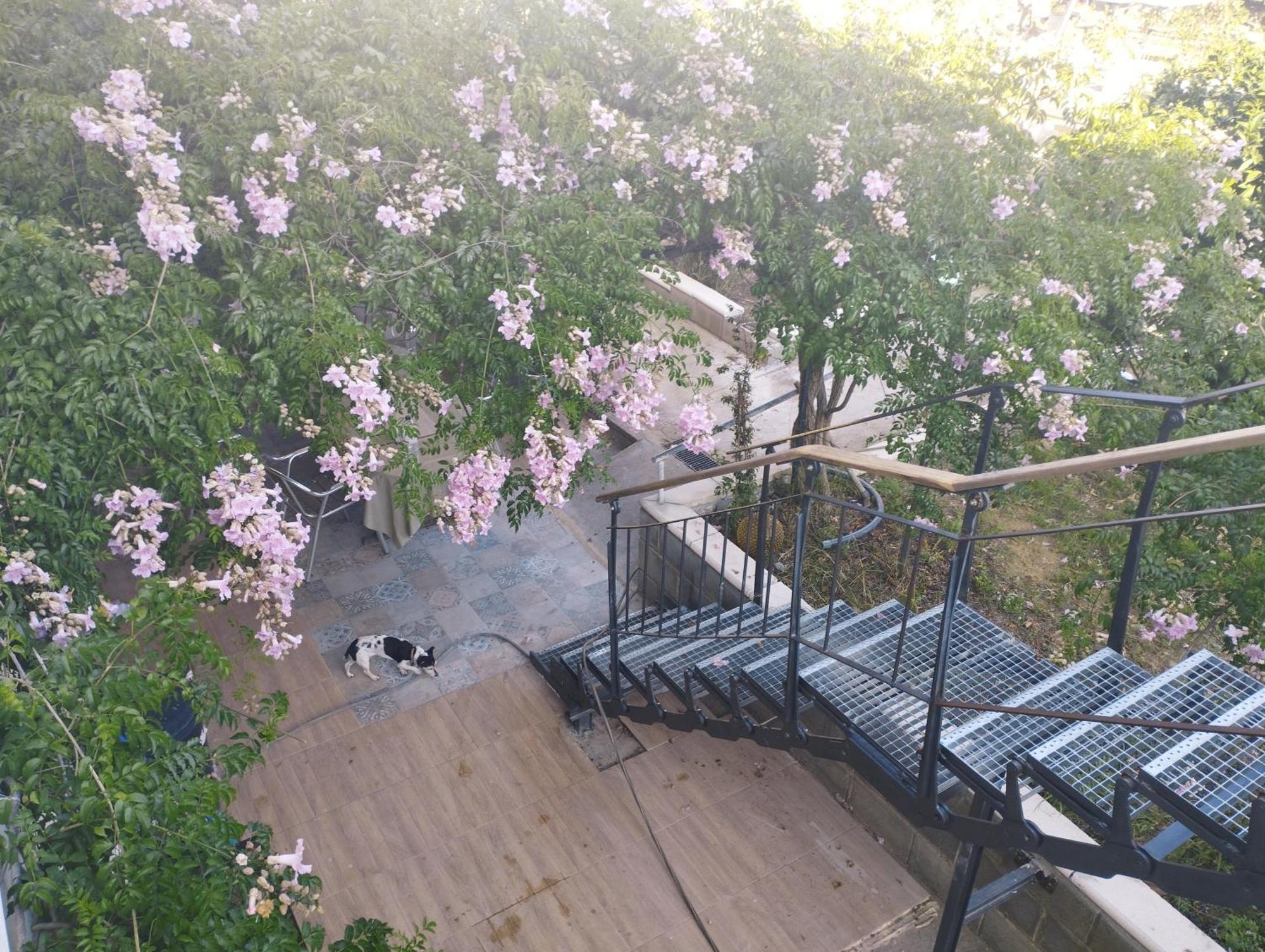 La Fabriqueta Apartament Riudecanyes 外观 照片